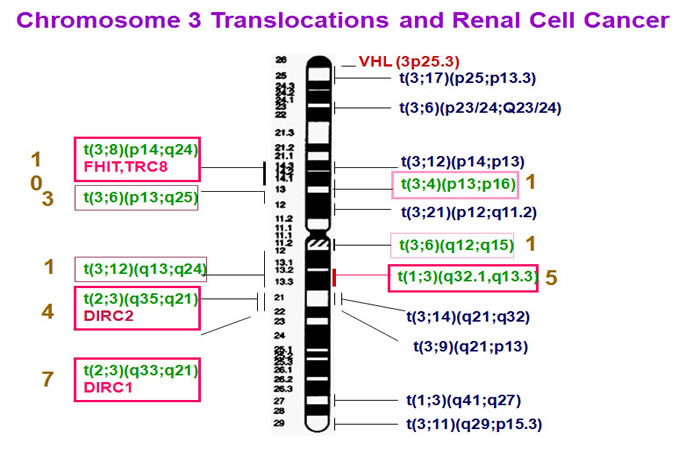 Chromosome 3-related translocations-RCC